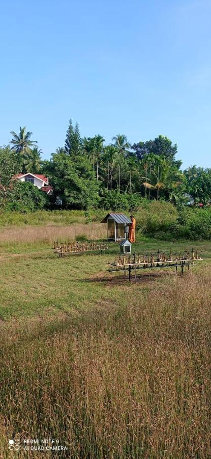 Narayanalayam-Vintage Retreat-Homestay & Rest'Inn 坎努尔 外观 照片