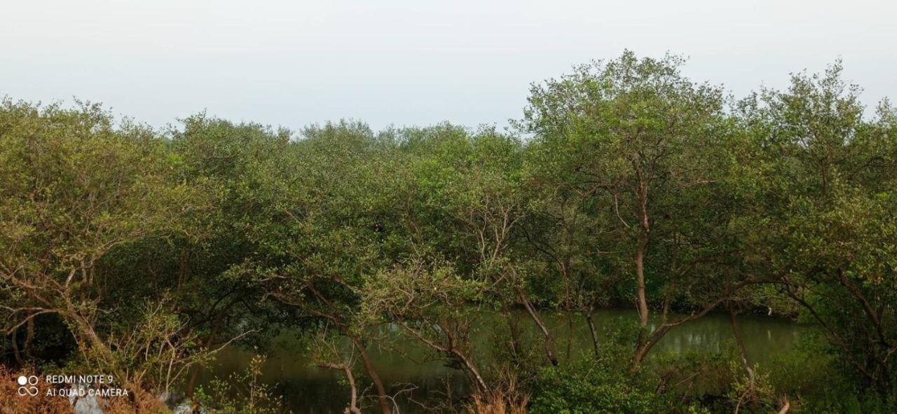 Narayanalayam-Vintage Retreat-Homestay & Rest'Inn 坎努尔 外观 照片