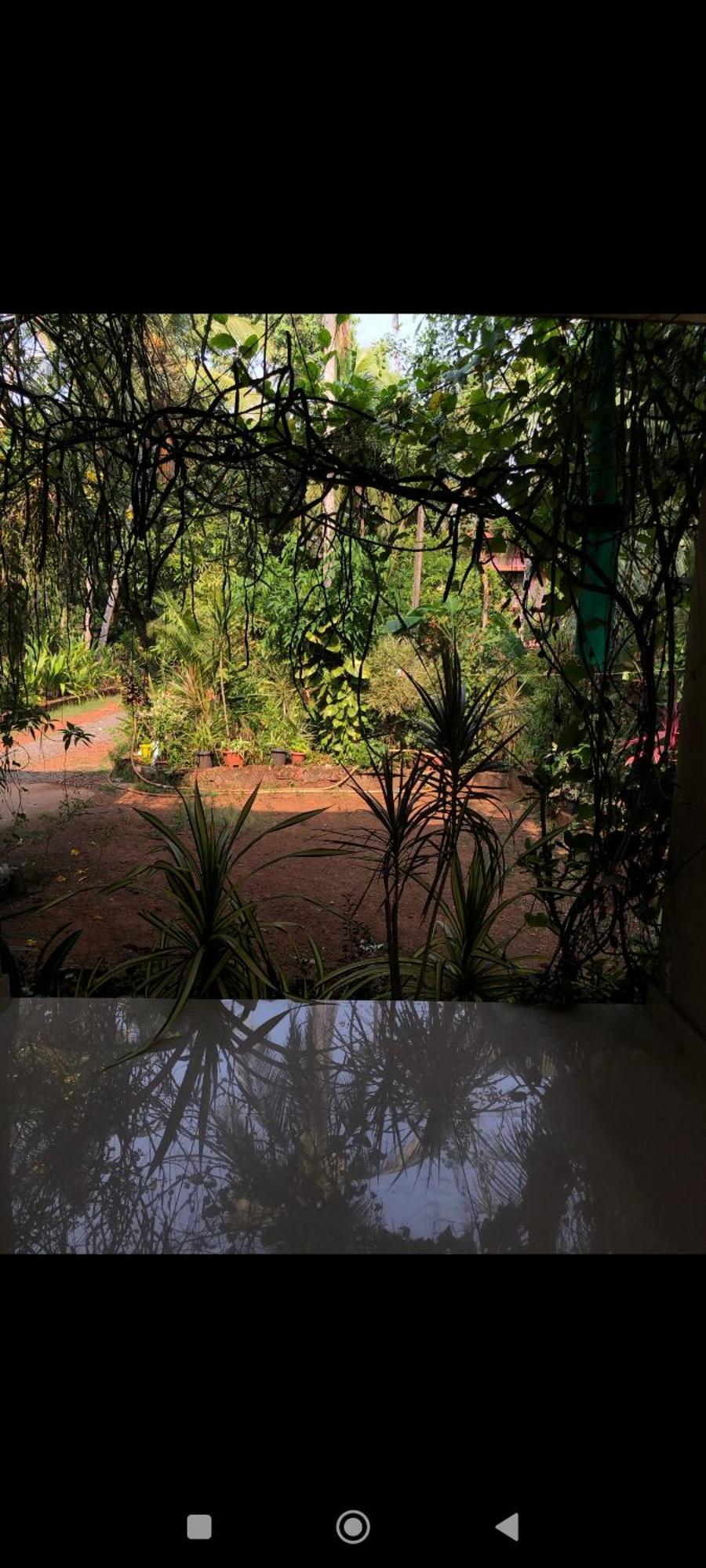 Narayanalayam-Vintage Retreat-Homestay & Rest'Inn 坎努尔 外观 照片